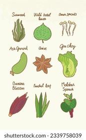 Set of isolated color illustrations of vegetables_06