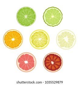 Set of isolated colored circle slices of bergamot, lime, lemon, orange, pomelo, bloody orange, pink grapefruit on white background. Realistic citrus fruit collection.