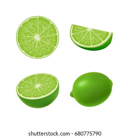 Set of isolated colored green lime, half, slice, circle and whole juicy fruit on white background. Realistic citrus collection.