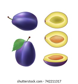 Set of isolated colored plum, half, slice with pit and whole juicy fruit with leaf on white background. Realistic fruit collection.