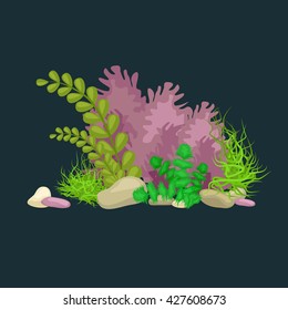 Set isolated colorful corals and algae, Vector underwater flora, fauna.