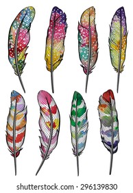 Set of isolated colorful feathers. Vector, EPS10