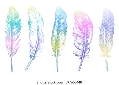 Set of isolated colorful feathers. Vector, EPS10