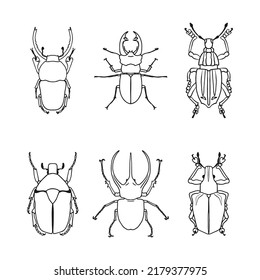 A set of isolated contour drawings of beetles on a white background. Doodle style. A design element.