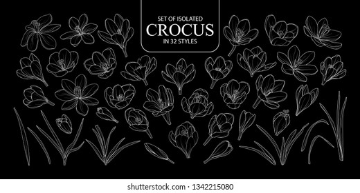 Set of isolated Crocus in 32 styles. Cute hand drawn flower vector illustration only white outline on black background.
