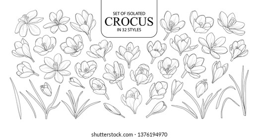 Set of isolated Crocus in 32 styles. Cute hand drawn flower vector illustration in black outline and white plane on white background.