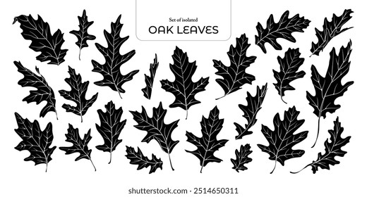 Set of isolated Cute Autumn foliage illustration in hand drawn style on white background.