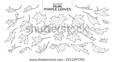 Similar – Image, Stock Photo Autumn colored leaves floating in dark water
