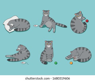 Set of isolated cute cats in different emotions and poses in cartoon style. Vector.