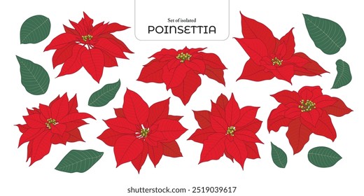 Set of isolated cute flower illustration in hand drawn style. Vivid color tone on a white background.