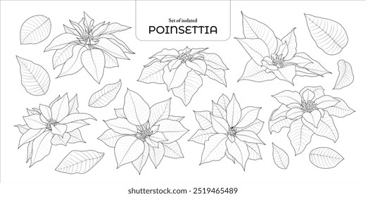 Set of isolated cute flower illustration in hand drawn style. Black outline and white plane on a white background.