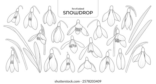 Set of isolated cute flower illustration in hand drawn style. Black outline and white plain on a white background.