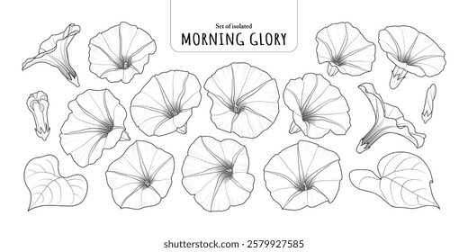 Set of isolated cute flower illustration in hand drawn style. Black outline and white plain on a white background.