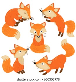 set of isolated cute foxes part 1  - vector illustration, eps