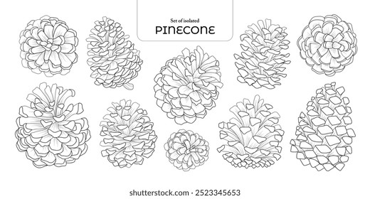 Set of isolated cute plants illustration in hand drawn style. Black outline and white plane on a white background.
