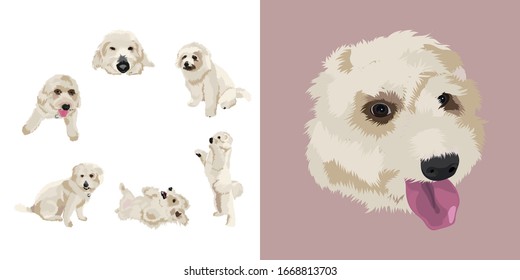 Set of isolated cute white dog with different post on the background. Vector illustration.