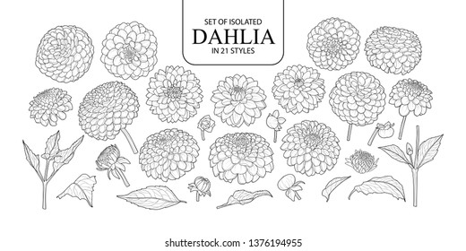 Set of isolated Dahlia in 21 styles. Cute hand drawn flower vector illustration in black outline and white plane on white background.