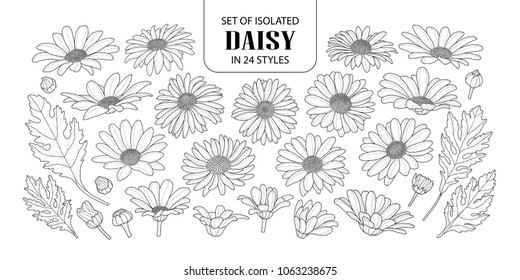 Set Of Isolated Daisy In 24 Styles. Cute Hand Drawn Flower Vector Illustration In Black Outline And White Plane On White Background.