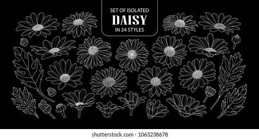 Set of isolated daisy in 24 styles. Cute hand drawn flower vector illustration in only white outline on black background.