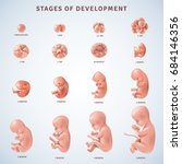 Set of isolated decorative icons showing stages of human embryonic development with period clarification in months realistic vector illustration