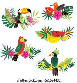 conjunto de diseños tropicales decorativos aislados - ilustración vectorial, pasos