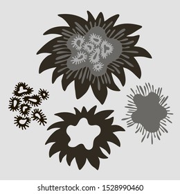 Set of isolated designs with abstract black and white floral forms. The design is suitable for clothes design, stickers, decorations, stationary supplies, etc.