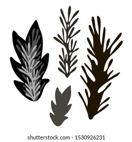 Set of isolated designs with abstract black and white floral forms. The design is suitable for clothes design, stickers, decorations, stationary supplies, etc.