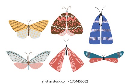 Set of isolated different beautiful colorful butterflies with various patterns