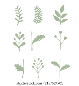 Leaves vector set isolated from the background. Leaves different shapes in modern flat style