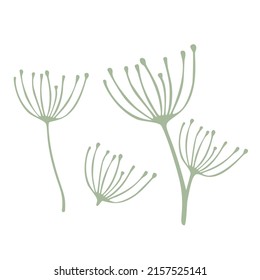 Leaves vector set isolated from the background. Leaves different shapes in modern flat style