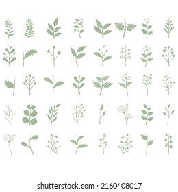 Leaves Vektorset einzeln auf dem Hintergrund. Überlässt verschiedene Formen im modernen Flachstil
