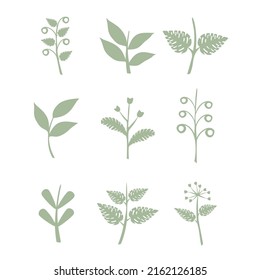 Leaves vector set isolated from the background. Leaves different shapes in modern flat style