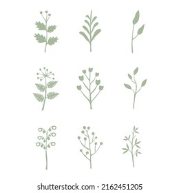 Leaves vector set isolated from the background. Leaves different shapes in modern flat style