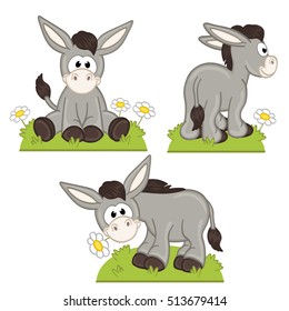 set of isolated donkey in meadow - vector illustration, eps