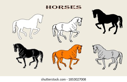 set of isolated drawings and silhouettes of a prancing horse, doodles