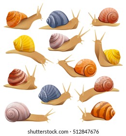 Set of isolated drawn snails of different behavior shell colours in realistic style on blank background vector illustration