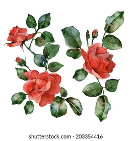 Set of isolated elements of red flowers roses. Vector illustration