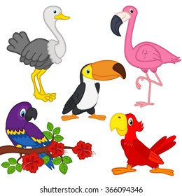 set of isolated exotic birds - vector illustration, eps