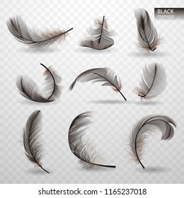 Set of isolated falling black fluffy twirled feathers on transparent background in realistic style. Vector Illustration
