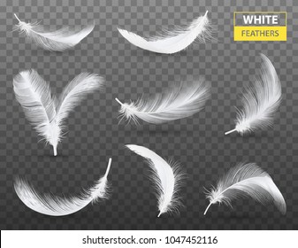 Set of isolated falling white fluffy twirled feathers on transparent background in realistic style vector illustration