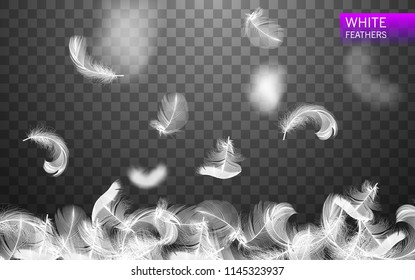 Set of isolated falling white fluffy twirled feathers on transparent background in realistic style. Vector Illustration