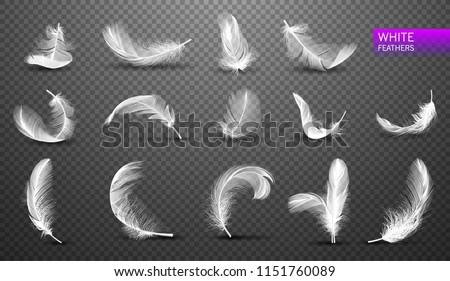 Set of isolated falling white fluffy twirled feathers on transparent background in realistic style. Vector Illustration