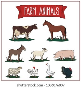 Set of isolated farm animals on white background: cow, horse, donkey, goat, pig, sheep, chicken, rooster, goose and turkey.
