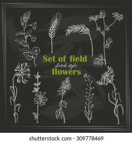 Set of isolated field plants in sketch style on black background. Vector illustration for your design