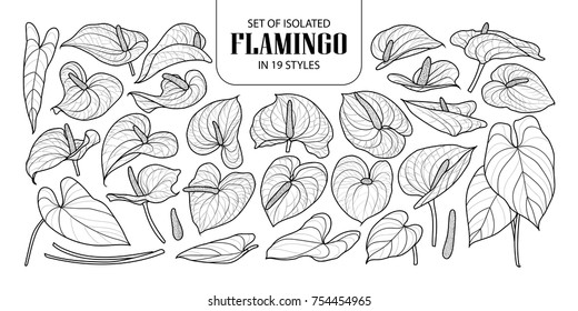 Set of isolated Flamingo in 19 styles. Cute hand drawn flower vector illustration in black outline and white plane on white background.