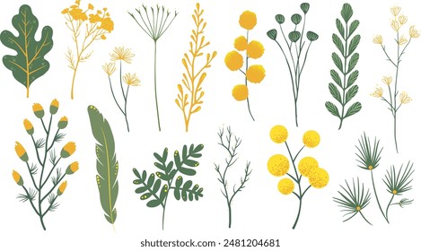 Set of isolated floral illustration with flowers, branches, berries, feathers, leaves and cute elements in simple plain graphic style on transparent background. Green and yellow color tone.