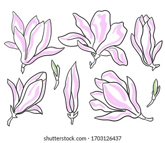 
Set of isolated flowers and Magnolia leaves on a white background. Magnolias drawn with a black line. Ideal for wedding invitations, postcards, posters, fabrics, for illustrations of the spring. 
