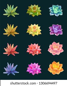 Set of isolated flowers succulents, illustration of floral elements on background, can be used for greeting card or wedding invitation, natural cosmetics, health care, yoga center and other design