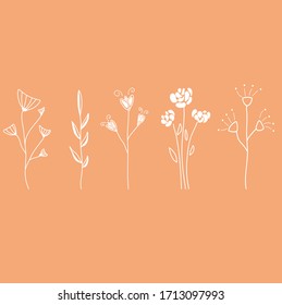 Set of isolated flowers and twigs.  Linear drawing technique.  Minimalistic flower-shaped patterns.  Silhouette of plants for patterns, prints, etc.