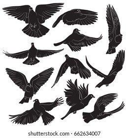 Set of isolated flying birds silhouettes. Vector illustration